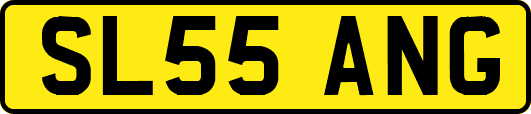 SL55ANG