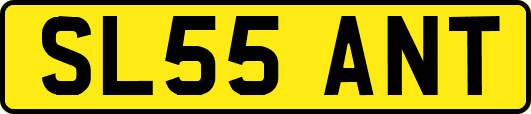 SL55ANT