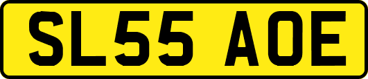 SL55AOE