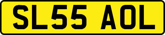 SL55AOL