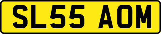 SL55AOM