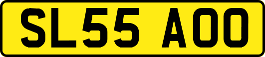 SL55AOO