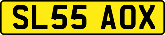 SL55AOX