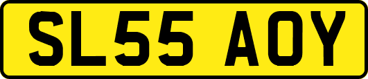 SL55AOY