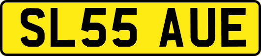 SL55AUE