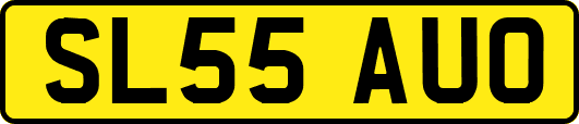 SL55AUO
