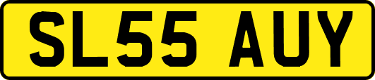 SL55AUY
