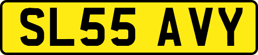 SL55AVY