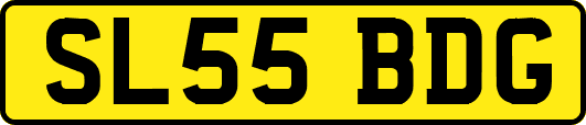 SL55BDG