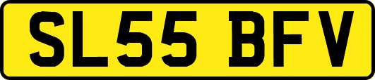 SL55BFV