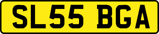 SL55BGA