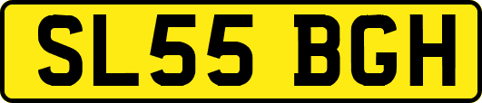SL55BGH