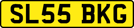 SL55BKG