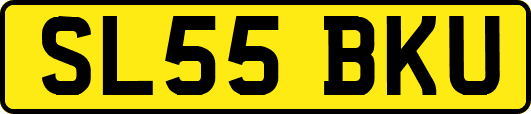 SL55BKU