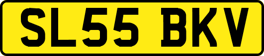 SL55BKV