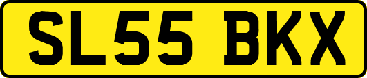 SL55BKX