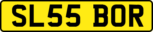 SL55BOR