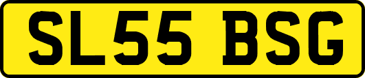 SL55BSG