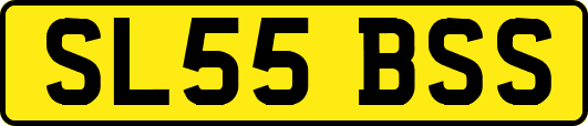 SL55BSS