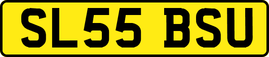 SL55BSU