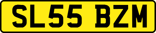 SL55BZM