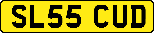 SL55CUD