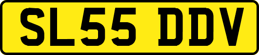 SL55DDV