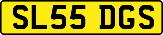 SL55DGS