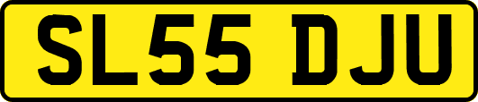 SL55DJU