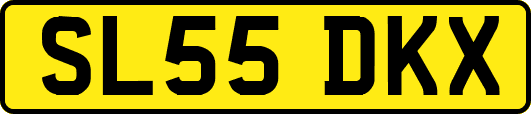 SL55DKX