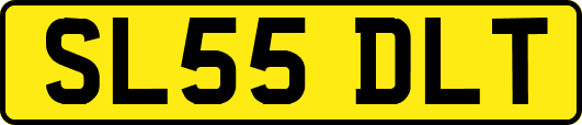 SL55DLT