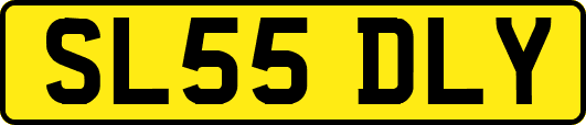SL55DLY