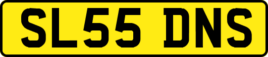 SL55DNS