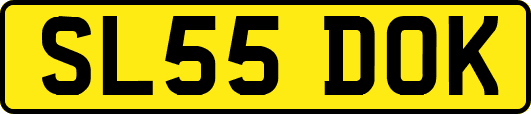 SL55DOK