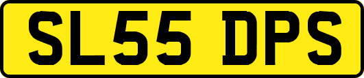SL55DPS