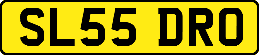 SL55DRO