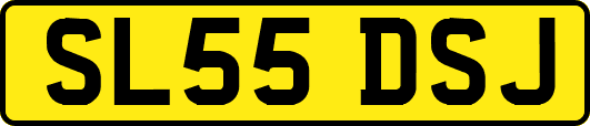 SL55DSJ