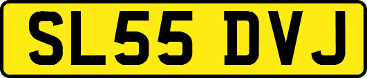 SL55DVJ