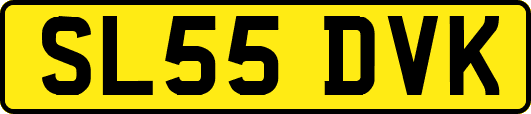 SL55DVK