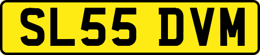 SL55DVM