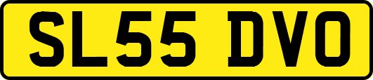 SL55DVO