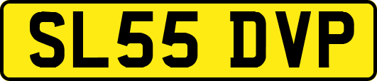 SL55DVP