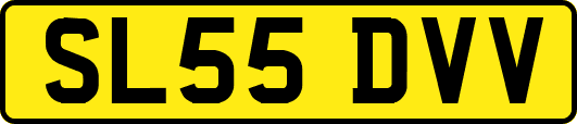 SL55DVV