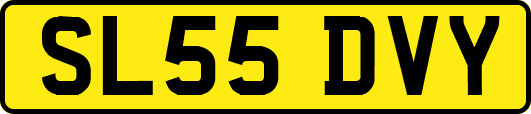 SL55DVY