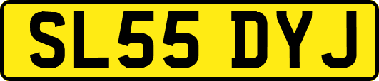 SL55DYJ