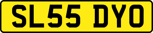 SL55DYO