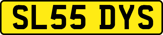 SL55DYS
