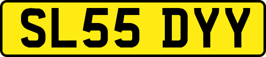 SL55DYY