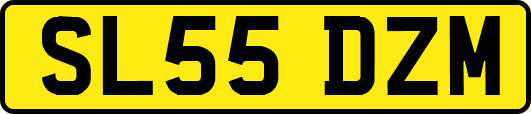 SL55DZM