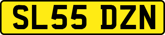 SL55DZN
